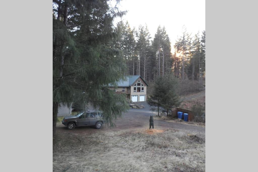 Mountainside Chalet - Tiny Home 帕克伍德 外观 照片