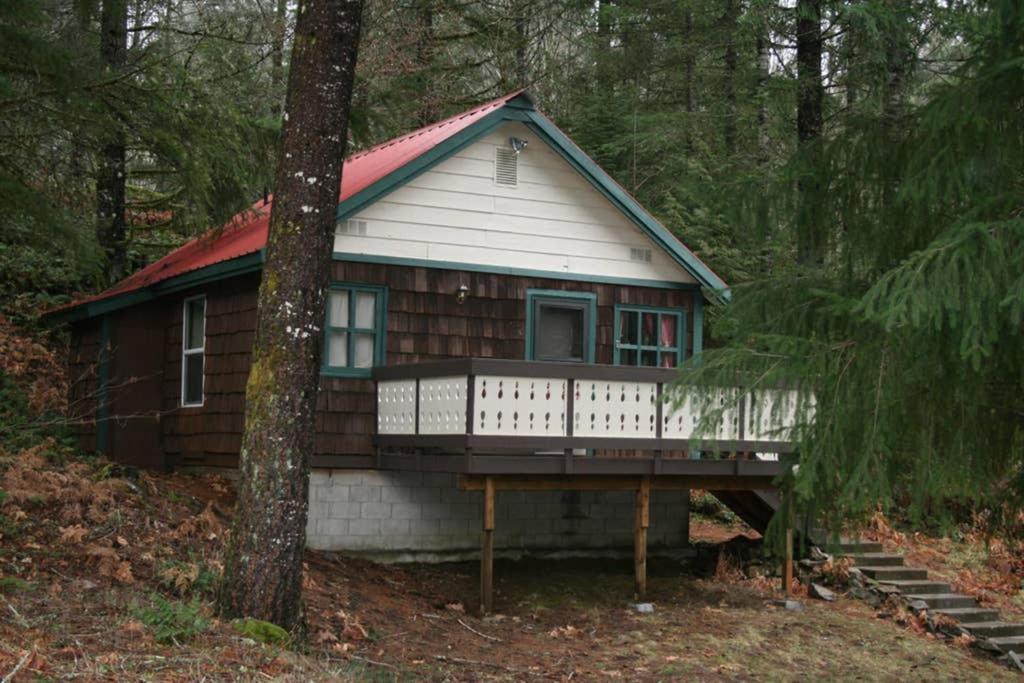 Mountainside Chalet - Tiny Home 帕克伍德 外观 照片